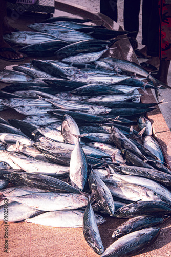 Fresh Tuna Fish at Seafood Market