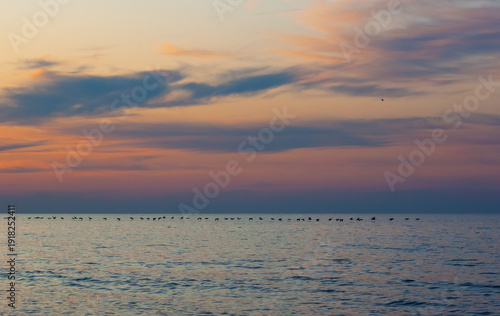 Wallpaper Mural Flock of Birds Flying Over Pastel Sunset Sea Torontodigital.ca