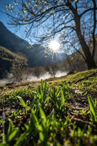Spring Awakening: Green Shoots Emerging from Soil with Sunlight Through Trees — Symbol of New Life