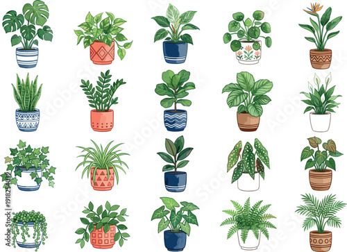 Hand drawn vector illustration collection of various indoor houseplants in decorative ceramic pots including fiddle leaf fig monstera zz plant and succulents on white background