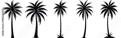 Tropical Palm Trees Silhouette Vector Illustration Design