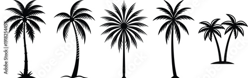 Tropical Palm Trees Silhouette Collection For Summer Design