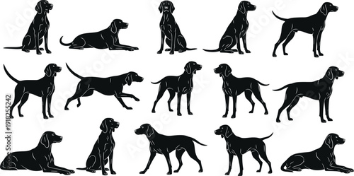 Labrador dog silhouettes collection, retriever canine poses set, domestic pet breed illustration, loyal companion animals, isolated vector design pack