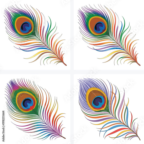 Colorful Feather and Rainbow Vector Pattern Illustration