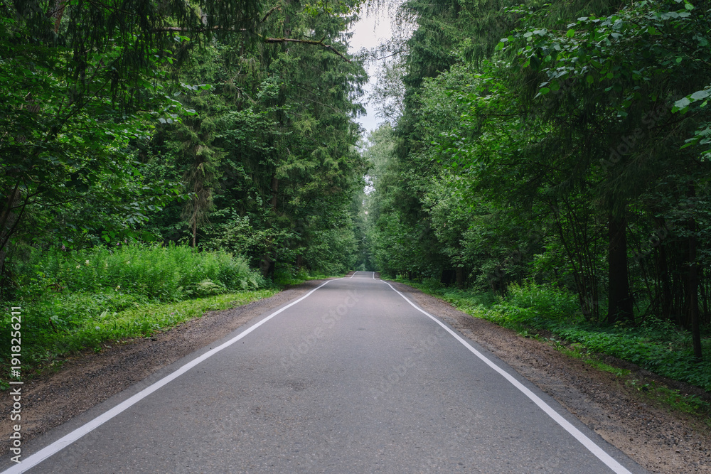 Obraz premium an asphalt road stretching into the distance among a green forest on a summer day