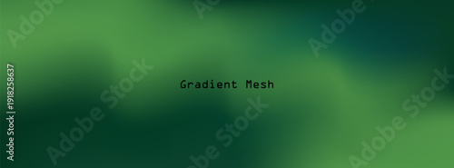 Minimalist Deep Green Vector Background with Smooth Gradient Mesh of Emerald and Forest Tones, Soft Blurry Fluid Texture for Modern Eco Tech Web Banner