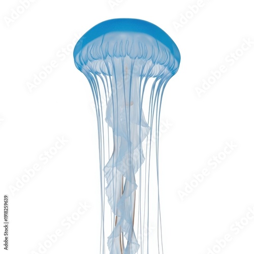 A majestic blue jellyfish gracefully floating in the deep ocean waters