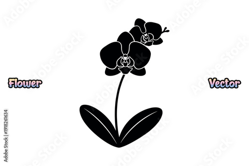 Orchid flower stem silhouette. Tropical botanical nature icon. Minimalist garden plant symbol. Black and white floral graphic. Isolated bloom design element. Exotic blossom art vector.