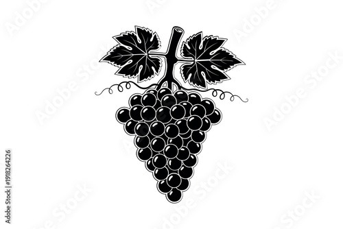 Fresh bunch of grapes with leaves. Vineyard fruit harvest icon. Organic wine nature symbol. Black and white food graphic. Isolated berry design element. Healthy garden plant botanical art vector.