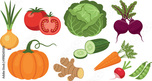 Set of Fresh Organic Vegetables with Pumpkin Tomato Cabbage Carrot and Beetroot