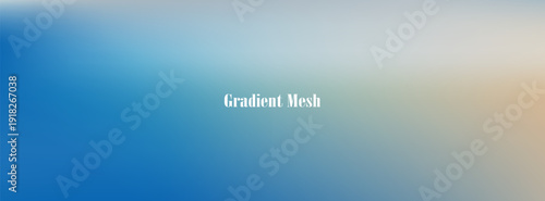 Minimalist Blue and Grey Vector Background with Smooth Gradient Mesh, Soft Blurry Fluid Transition for Modern Corporate Tech Web Banner and Digital Header