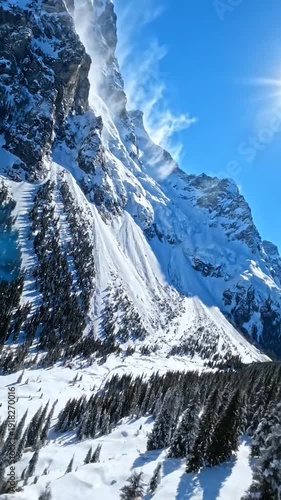 Stunning aerial view of snow-capped mountains and evergreen forest.
