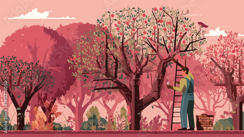 A person harvests ripe apples from a laden tree in an orchard at sunset