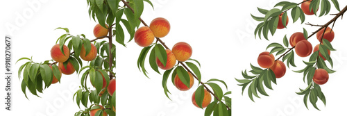 Εκτύπωση καμβά Faux Peach Fruit Tree Branches – Realistic Artificial Peach Tree with Ripening S