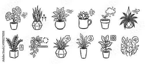 Hand-drawn icon set of air purifying houseplants in a doodle sketch style showing various plants in pots with symbols for clean air circulation and freshness