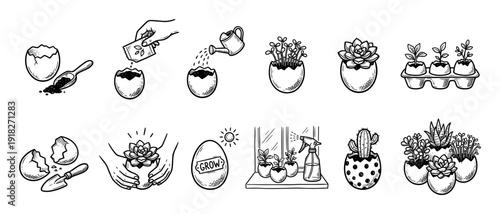 Hand-drawn icon set of plants growing in eggshells showing a step-by-step gardening process with succulents, seedlings, and tools in a black and white doodle sketch style