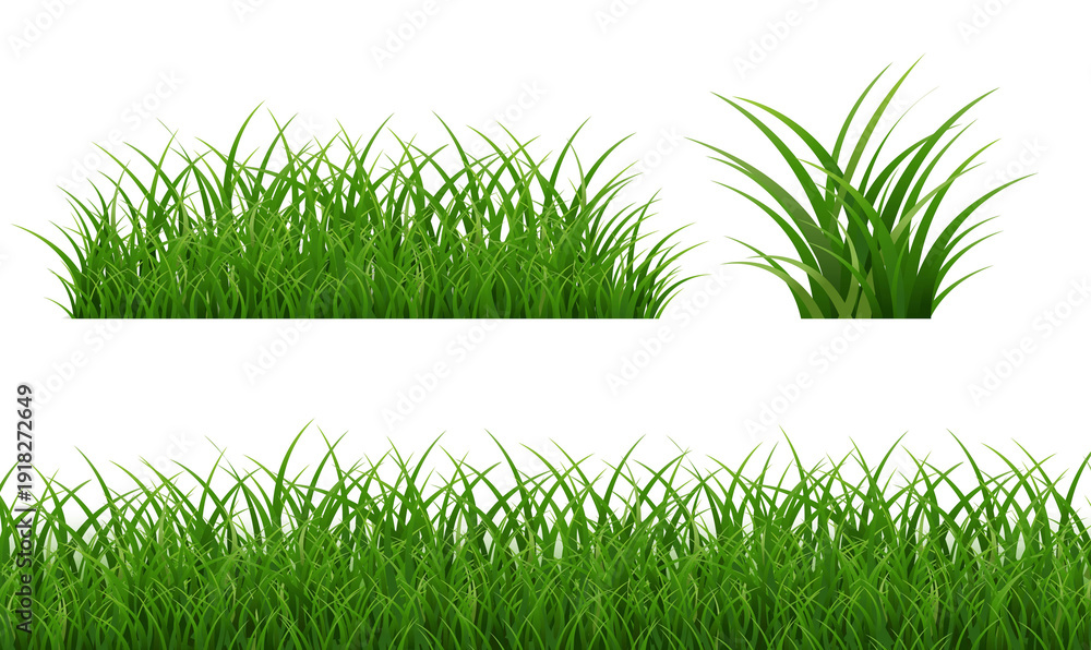 Obraz premium Green Grass Set Border Isolated White Backgroud
