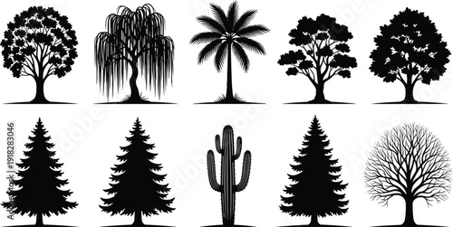 Collection of ten different detailed black tree silhouettes including pine willow palm oak and bare winter trees isolated on a white background.