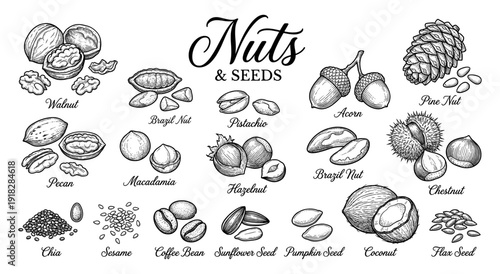 Nut and seed collection with walnut pistachio and hazelnut