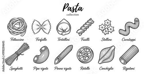 Pasta collection with fettuccine farfalle and penne