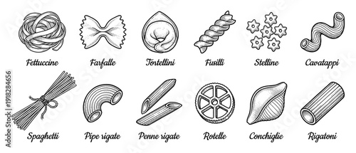 Pasta collection with fettuccine farfalle and penne