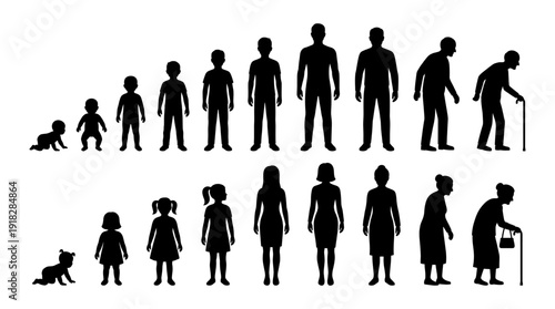 Human life cycle silhouette from baby to elderly