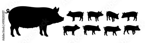 Pig and piglet silhouette set with sow and hog