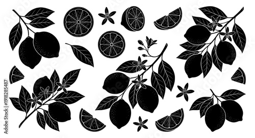 Lemon fruit and branch silhouette set with leaf