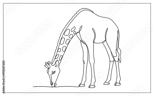 Artistic Single Line Drawing of a Giraffe Bending Down to Drink, Minimalist African Animal Illustration for Modern Wall Decor and Wildlife Graphics