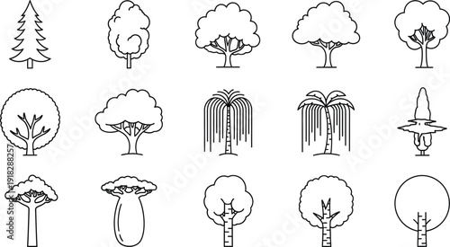 Inked Botanical Sketches with Intricate Branching Structures. Technical Illustration Asset. Winter Tree Concept