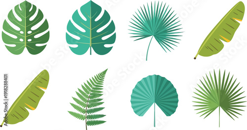 Emerald Leaf Clusters with Varied Serrated Edges. Greenhouse Management Material. Botanical Science Theme