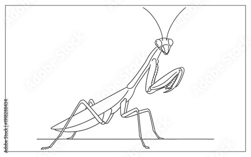 Elegant Praying Mantis Line Art Illustration, Minimalist Insect Drawing in Standing Pose for Coloring Books and Nature Designs