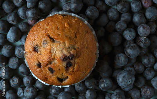 Schilderij op canvas Delicious golden muffin with blueberries, healthy breakfast pastry, fruit desser