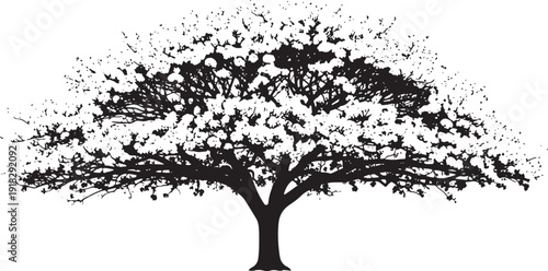 Striking black and white vector illustration of a mature tree with a wide canopy of dense leaves and a strong trunk.