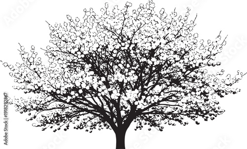 Detailed silhouette of a lush, mature tree with abundant delicate flowers and thick branches, symbolizing nature's bounty.