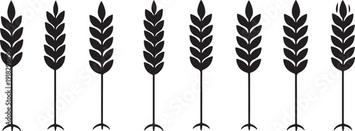  Wheat and Grain Ear Silhouette Icons Set
