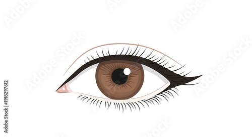 Brown Eye with Makeup.