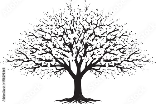 Intricate black silhouette of a mature tree with a wide canopy and detailed root system, vector illustration.