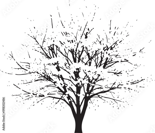 Striking black silhouette of a bare tree with intricate, sparse branches and twigs, suggesting winter or dormancy.