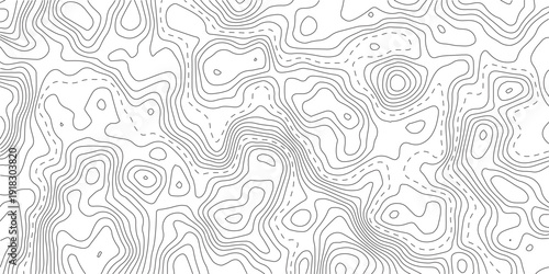 Vector geographic contour mounted map background.The stylized height of the topographic map contour in lines and contours isolated on transparent.
