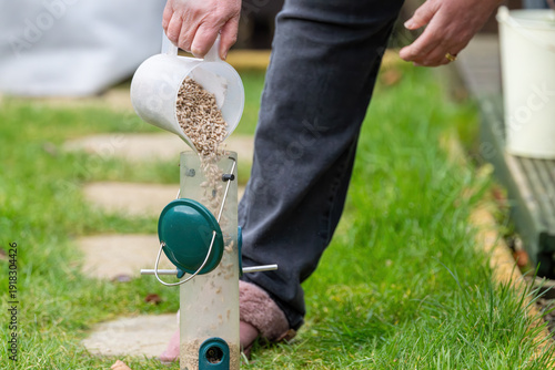 Photos Person filling garden bird feeder with sunflower seeds outdoors
