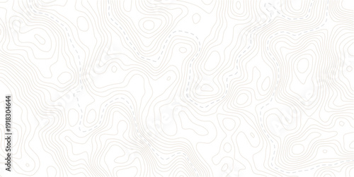 Vector geographic contour mounted map background.The stylized height of the topographic map contour in lines and contours isolated on transparent.
