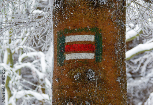 Wallpaper Mural Winter hiking trail marker painted on tree trunk, red and white tourist sign covered with snow in frosty forest landscape Torontodigital.ca