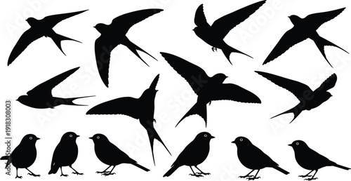 Collection of black bird silhouettes featuring graceful flying swallows and small perched songbirds, isolated on a white background for vector graphic design illustration.