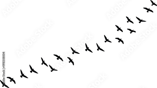 Black silhouette of a flock of migratory birds flying in v formation isolated on white background for nature wildlife and freedom concept graphic design