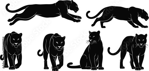 Collection of black panther silhouettes in various dynamic poses including jumping, walking, and sitting, isolated on a white background for vector graphic design.