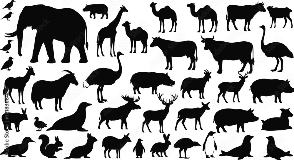 Fototapeta premium Comprehensive collection of diverse black wildlife animal silhouettes featuring elephant, giraffe, camel, and deer, isolated on a white background for vector graphic design illustration.