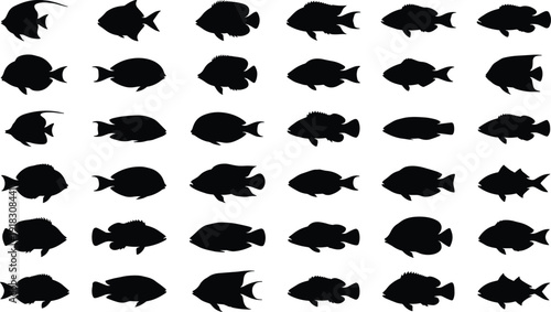 Comprehensive collection of black tropical reef fish silhouettes in various swimming poses, isolated on a white background for marine vector graphic design illustration.