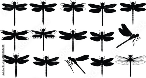Detailed black dragonfly silhouette collection featuring various top and side views with delicate wing patterns, isolated on a white background for vector graphic design.