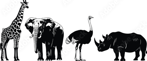 Detailed black silhouettes of African safari animals featuring giraffe, elephant, ostrich, and rhinoceros, isolated on a white background for vector graphic design illustration.